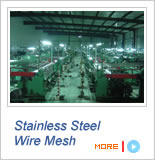 Stainless Steel Wire Mesh
