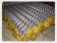 Chain Link Fence
