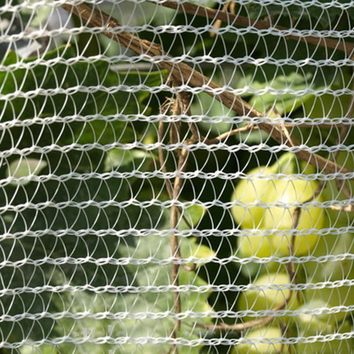 Hail Netting